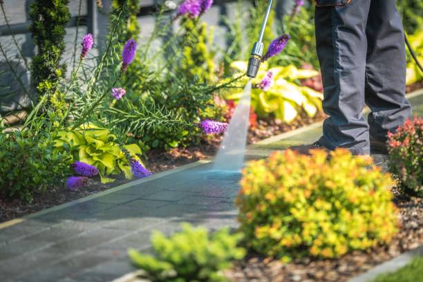 Best Dumpster Area Cleaning  in La Crescenta Montrose, CA