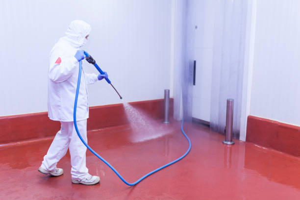 Best Spring Cleaning  in La Crescenta Montrose, CA